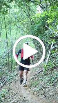 BIB:  <button type="button" onclick="openModal(28039599)" class="btn btn-primary btn-sm float-right" data-toggle="modal" data-target=".modal-high-quality">
                <i class="fa fa-download"></i> Download
                </button>